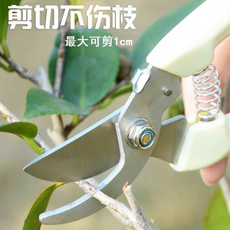 剪枝果树修枝剪刀园艺园林修花枝剪家用强力剪子神器花剪剪枝剪刀