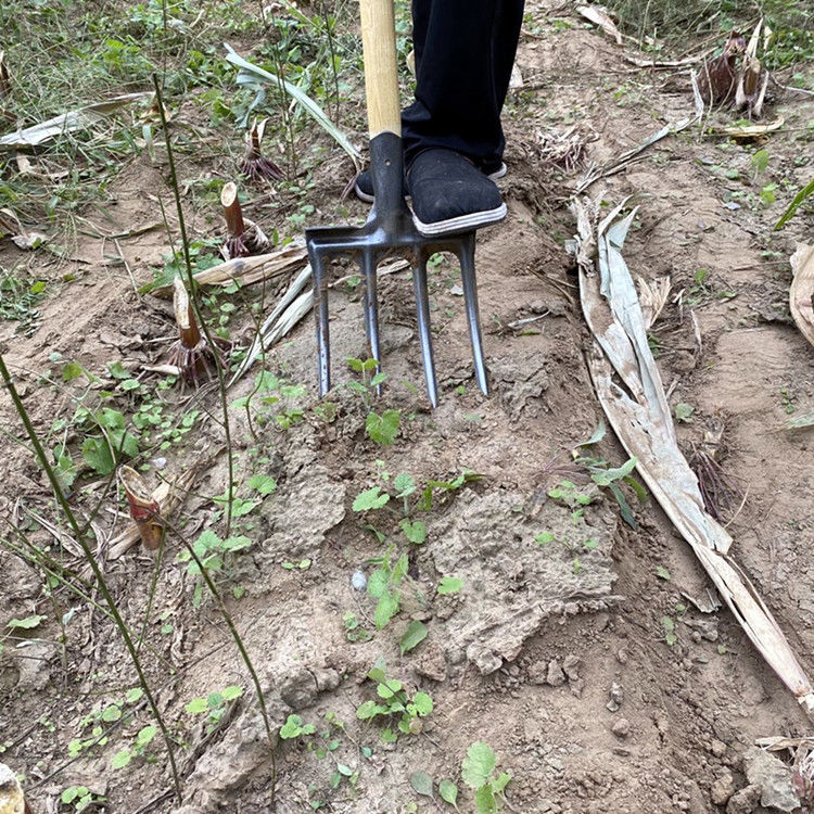 翻地神器翻地松土神器开荒挖土姜蒜葱花生叉挖粪种菜钢叉农用工具四齿