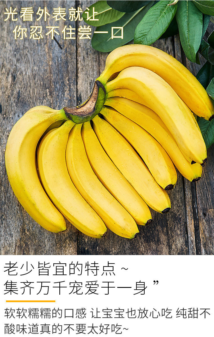 音网红香蕉5/10斤整箱当季水果新鲜应季香蕉一箱现摘大黄香蕉软糯香甜