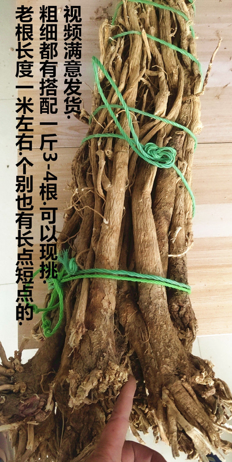 内蒙古黄芪野生黄芪 特级整根无硫纯中药材天然正北芪