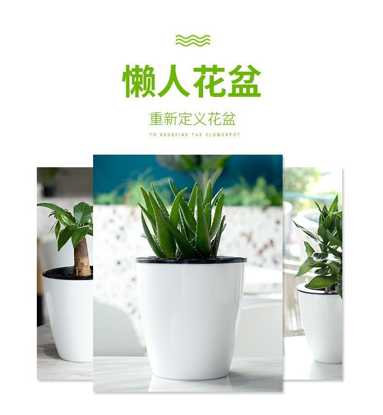 懒人花盆自动吸水绿萝用懒人盆吊兰水培自吸盆塑料吸水盆 盆 小号1个