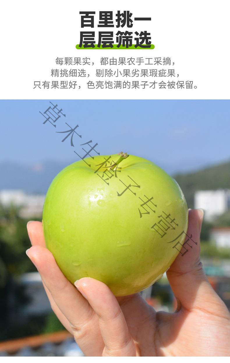 恬女神正宗贵妃牛奶枣大青枣新鲜水果当季特大果5斤