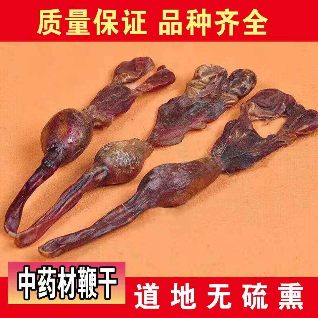 黄狗鞭黄狗肾纯狗鞭新鲜干鞭狗泡酒料狗中药材鞭滋补鞭泡酒黄狗鞭1825