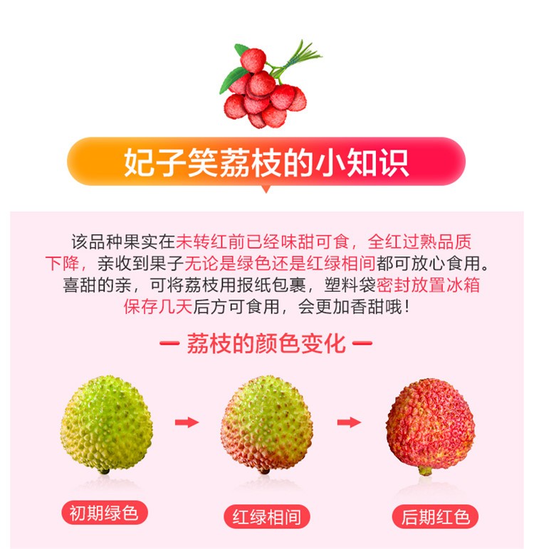 百觅 海南荔枝 新鲜水果  妃子笑荔枝4.5-5斤 JD冷链 现货直发