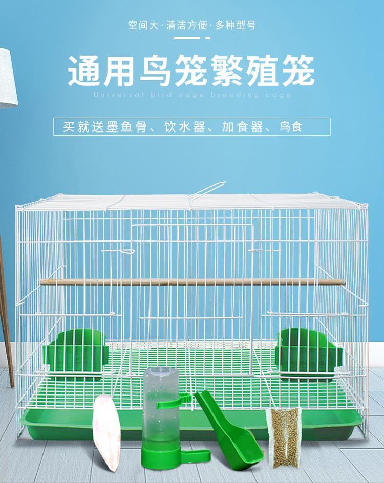 鸟笼大号群鸟笼虎皮鹦鹉八哥专用鹧鸪鸟笼子养殖家用繁殖豪华别墅