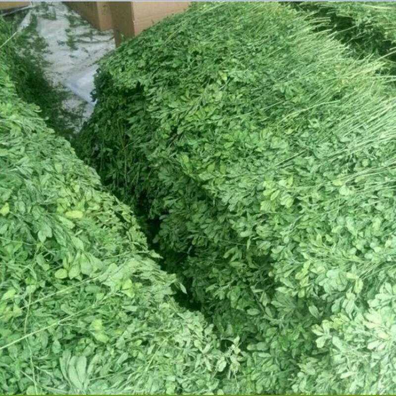 商品名称:【京东推荐】紫花苜蓿草兔草兔粮兔子干草兔子吃的牧草饲料