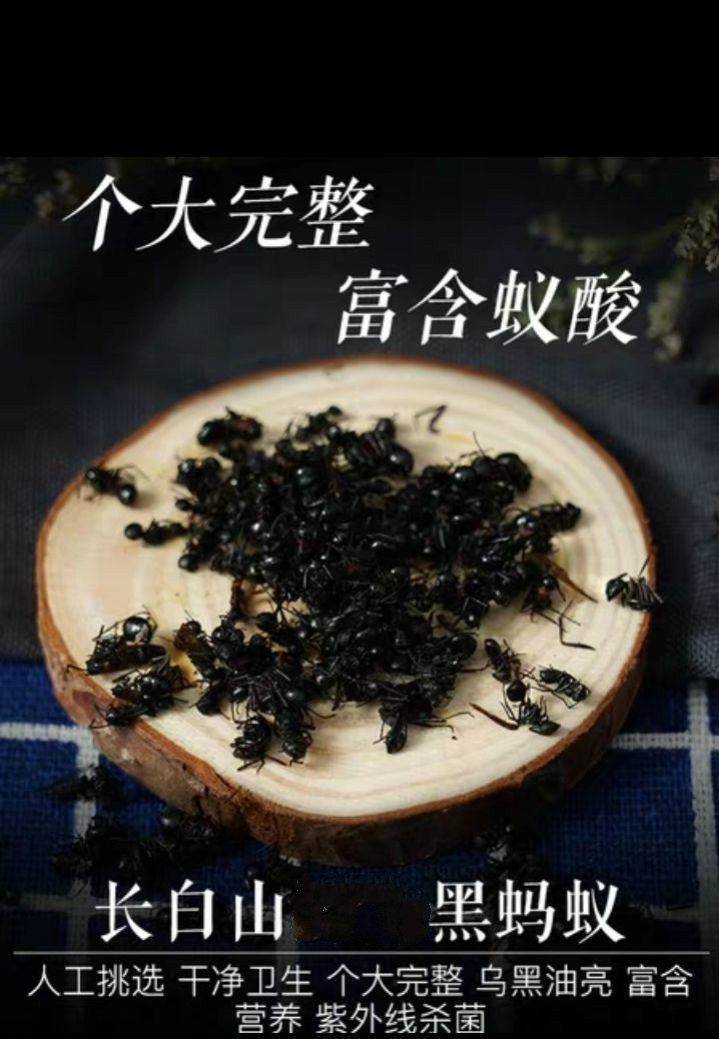 中药材黑蚂蚁干 大黑蚂蚁泡酒自制养生酒蚂蚁粉50-500g泡酒蚂蚁 250克