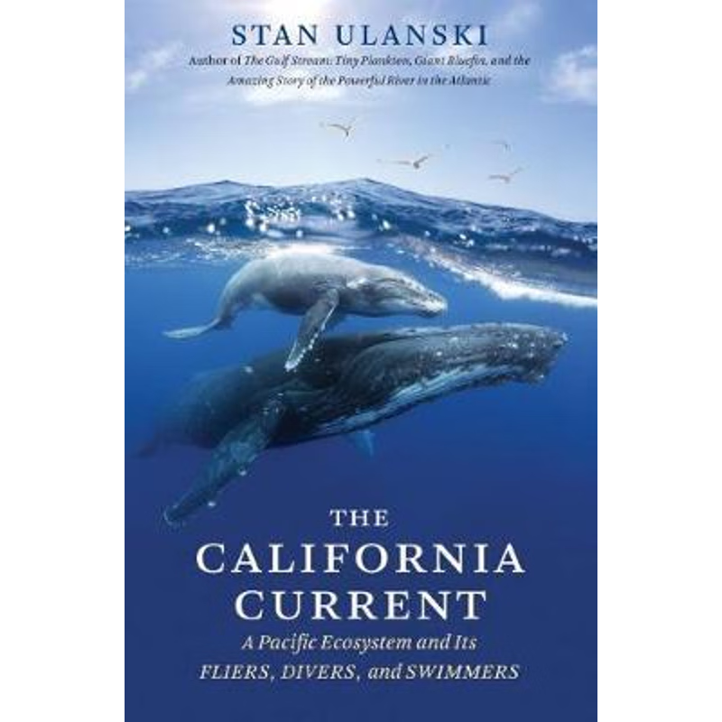 按需印刷不退不换The California Current[9781469654706]