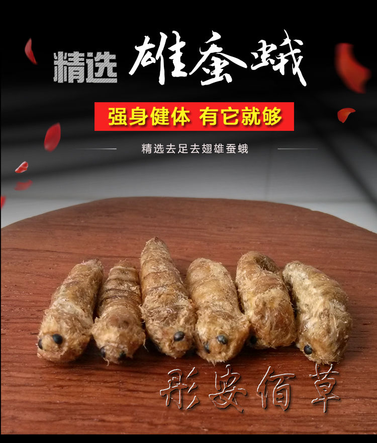 雄蚕蛾中药材原蚕蛾蚕蛾纯雄雄蚕蛾粉泡酒料100g250g500ge整个