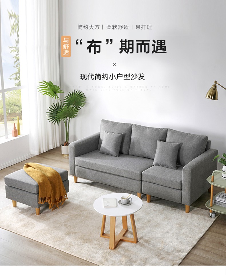 艺柳园沙发布艺沙发组合套装简约客厅大小户型现代可拆洗实木功能布沙发 【轻奢款套装】佛晓灰(浅灰色)+4抱枕