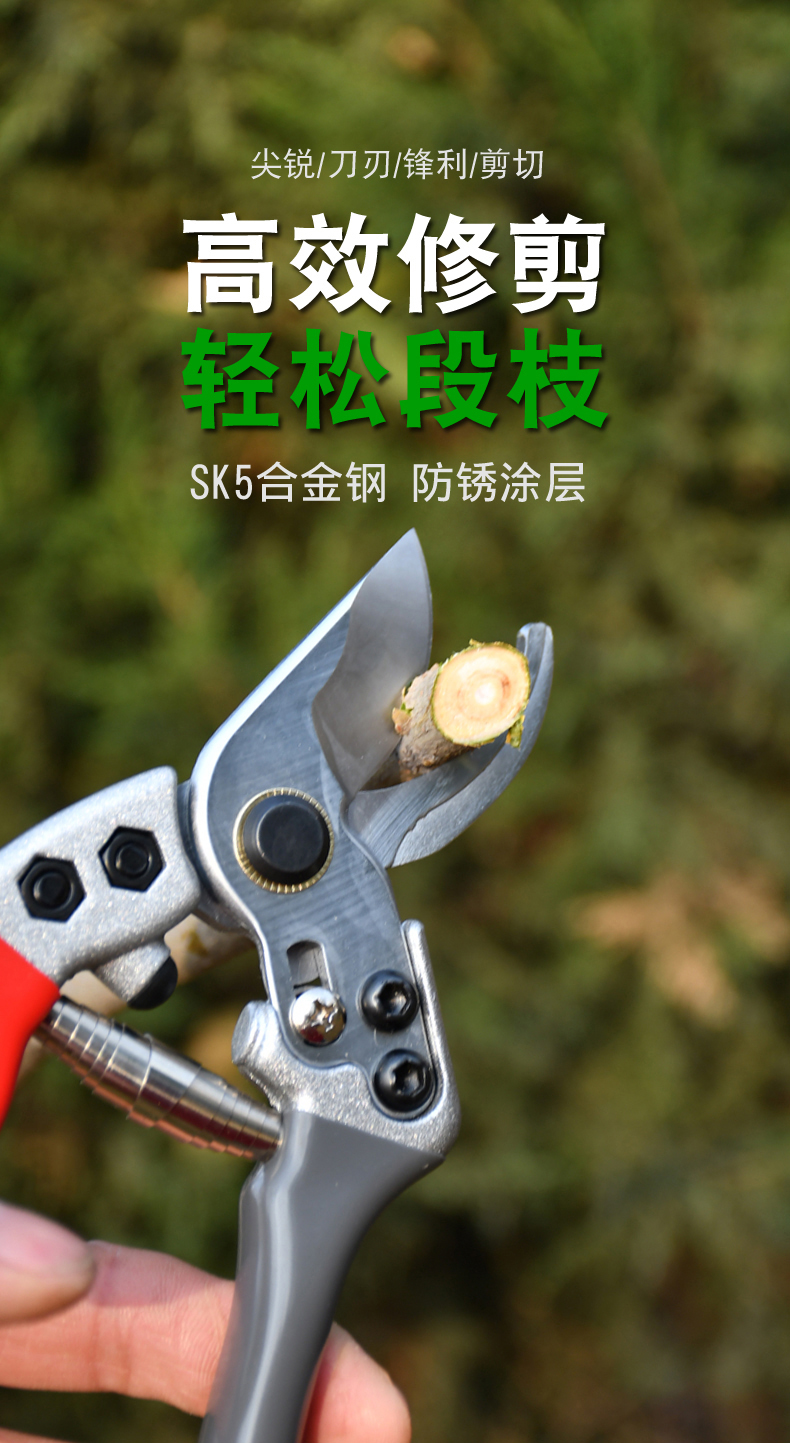 剪枝果树修枝剪刀园林剪园艺剪刀省力修花枝剪家用强力剪子 热卖实用