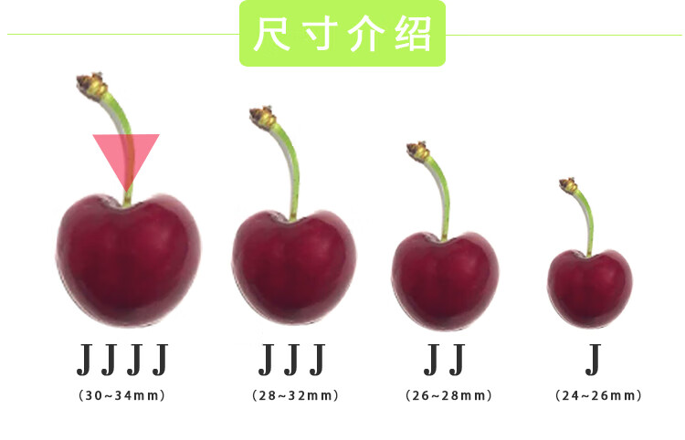 智利车厘子5/10斤4j大果原装进口新鲜水果3j大樱桃黑珍珠澳洲 4j 5000