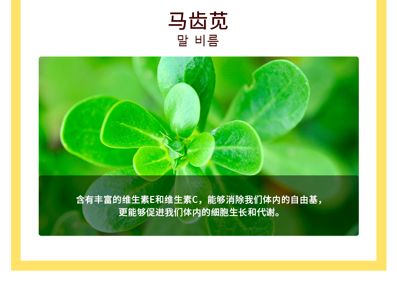 Tondi水杨酸精华液净痘痘淡化痘印痘疤粉刺闭口面部精华青春痘护肤品 30ml