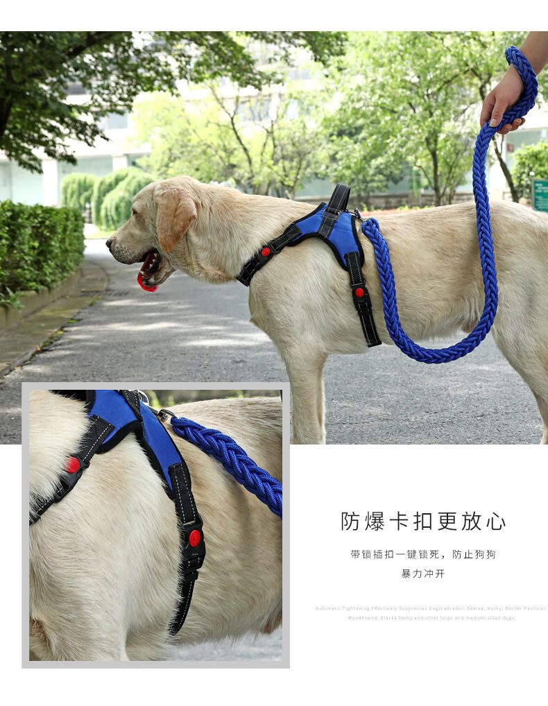 上新 狗狗牵引绳胸背狗链子小型犬狗绳中型大型犬金毛