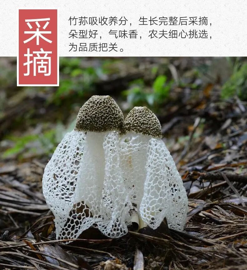 竹荪干货农家自种竹荪菇蕾特级野生无硫厚竹荪干礼包装 5包【特级竹荪