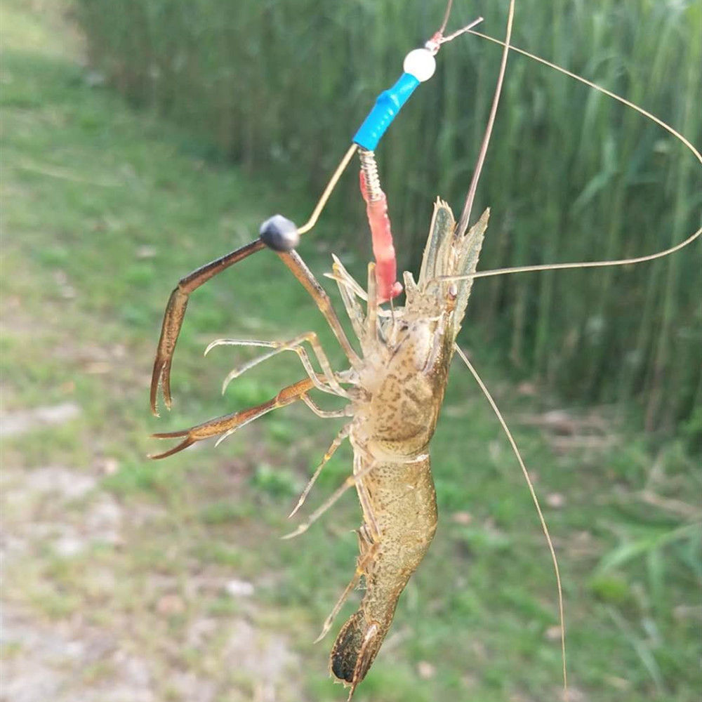 钓虾神器钓河虾钩钓草虾钩河虾钩虾钩子虾钩钓虾钩子钓青虾钩钓虾钓鱼