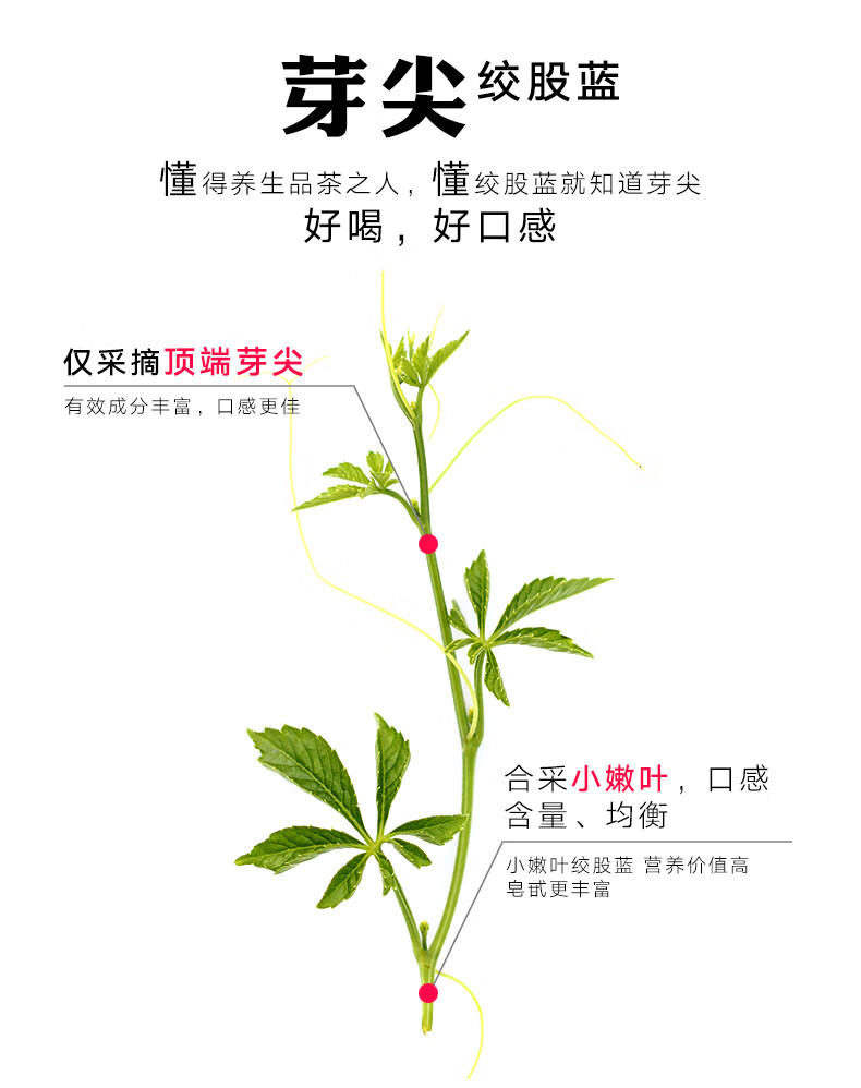 绞股蓝茶250g芽尖野生特级三高旗舰店绞股蓝五叶龙须茶