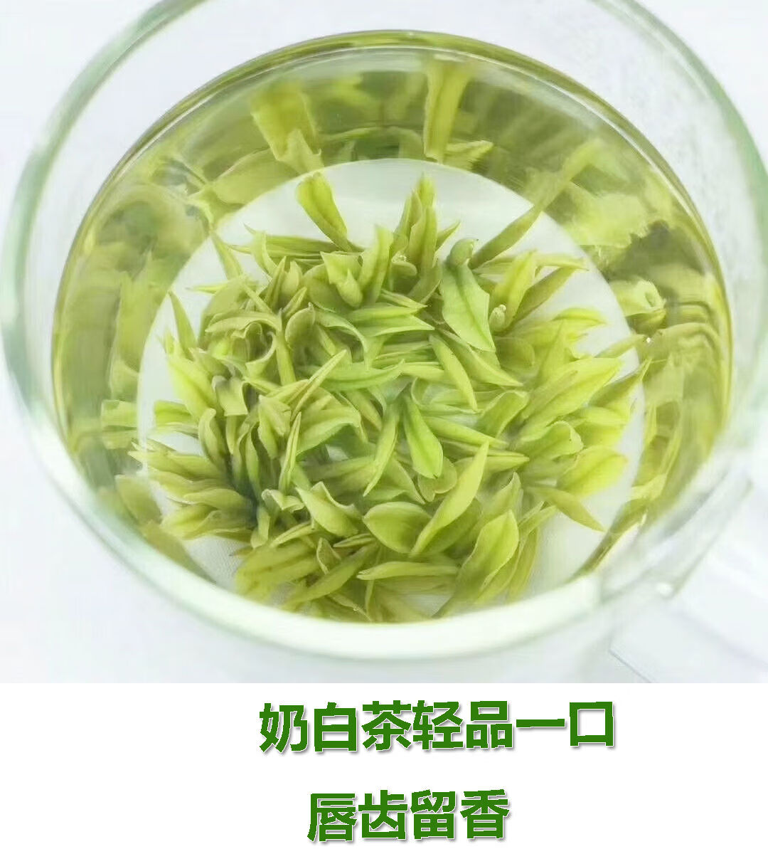 安吉白茶正宗奶白茶特级2021年珍稀绿茶春茶新茶叶豆香栗香浓香安吉奶