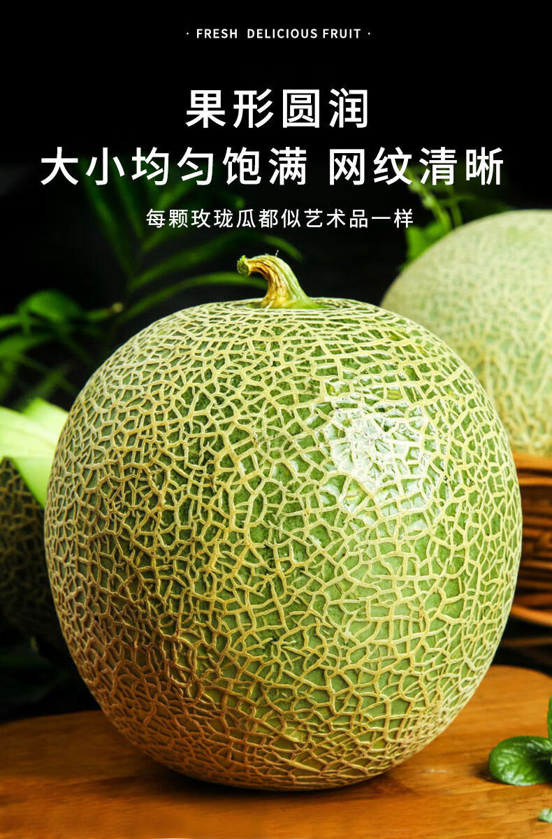 海南玫珑蜜瓜新鲜水果网纹哈密瓜香瓜甜瓜梅陇瓜玫珑瓜顺丰 2个装约5