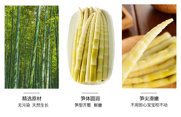 竹笋新鲜野生竹笋新鲜小竹笋火锅食材蔬菜冬笋笋尖批发300/500克 500g