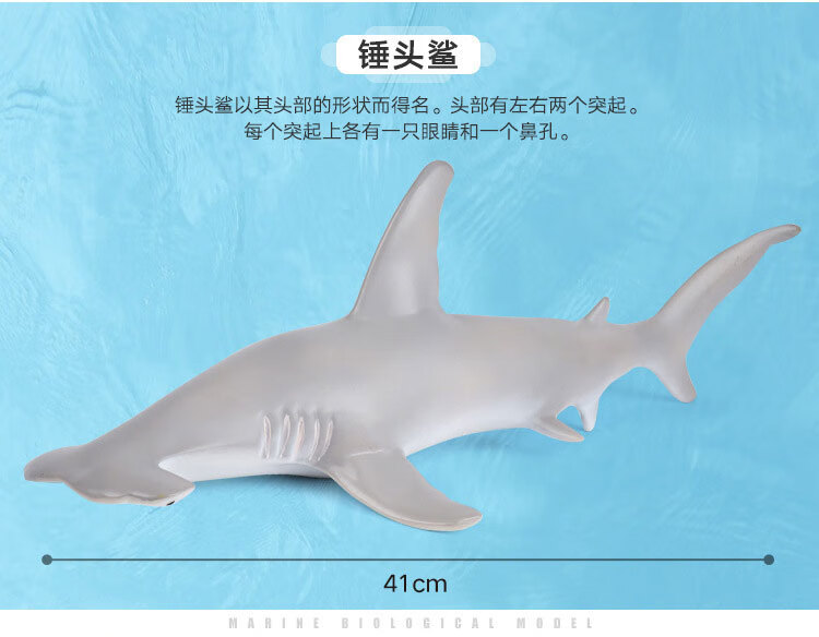 万代bandai虎鲸逆戟鲸玩具大鲸鱼模型海动物大号超大软胶