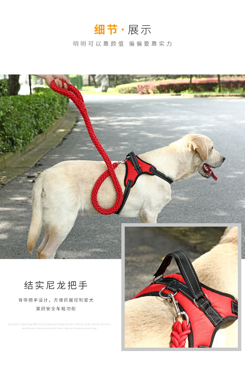 上新 狗狗牵引绳胸背狗链子小型犬狗绳中型大型犬金毛