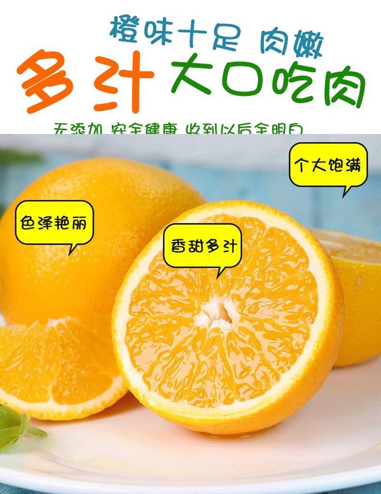 湖南麻阳冰糖橙 高山橙子当季新鲜水果 5斤(单果65mm以上)