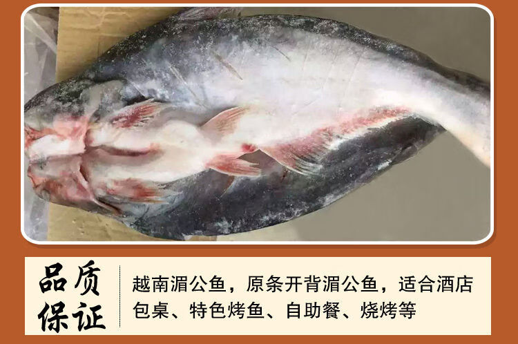 开背巴沙鱼腌制湄公鱼烤鱼纸包鱼冷冻无刺龙利鱼腌制鱼开背湄公鱼1条