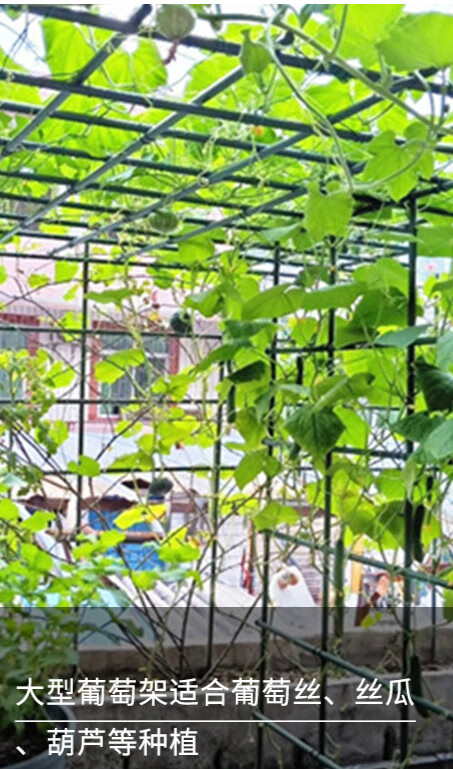 爬藤架花架爬藤架架子花支架植物杆葡萄架室外支撑杆种植户外庭院直径