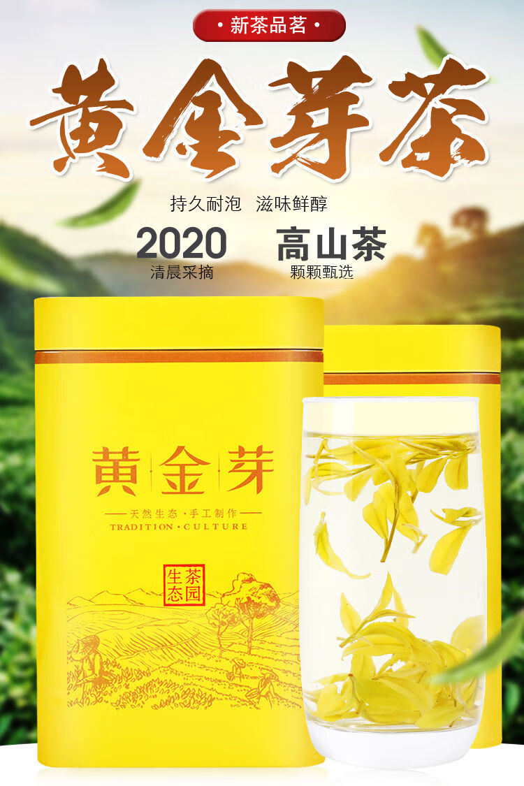 甄选黄金芽茶2021新茶白茶正宗浙江高级黄金茶叶绿茶罐装礼盒送礼