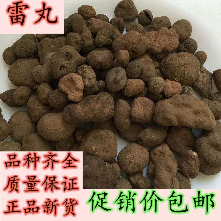 中药材雷丸竹苓精选新货无硫雷实竹铃芝木连子50g克【50克】试用装