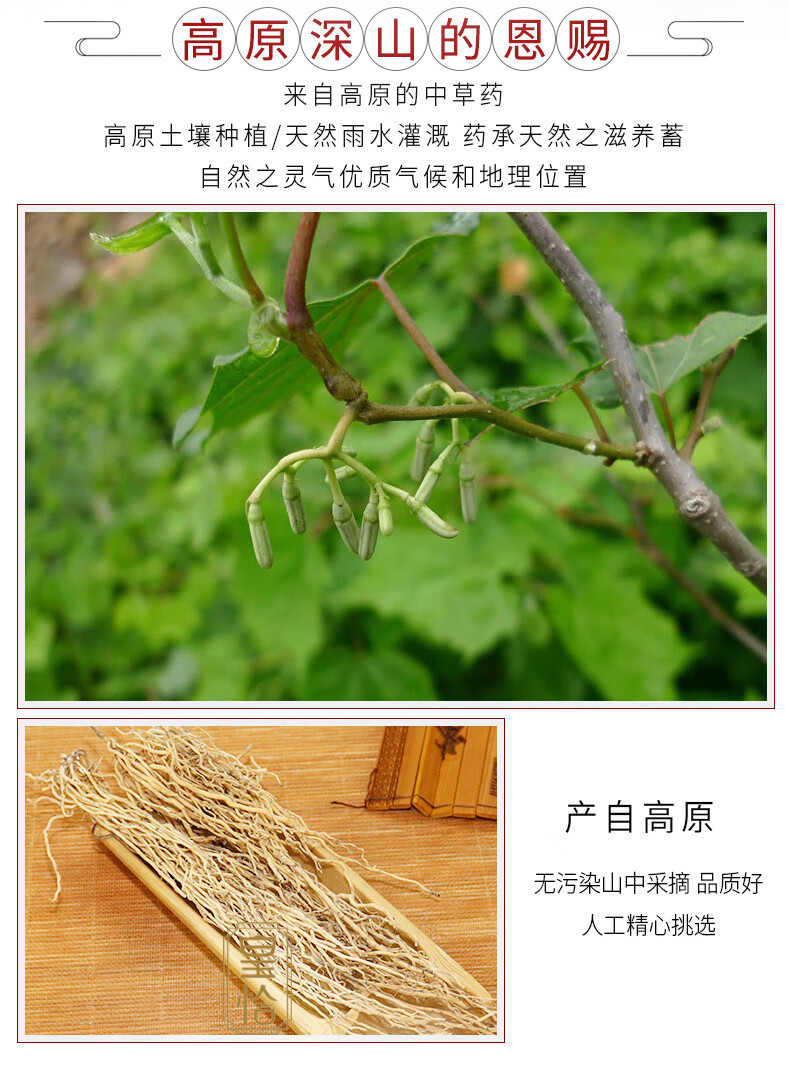 皇恰新鲜白龙须干货中药材500g白金条白筋条八角枫根须状根娃儿藤