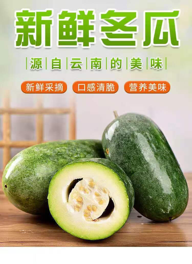 云南小冬瓜青皮迷你冬瓜新鲜现摘农家有机种植当季 3斤 实惠装