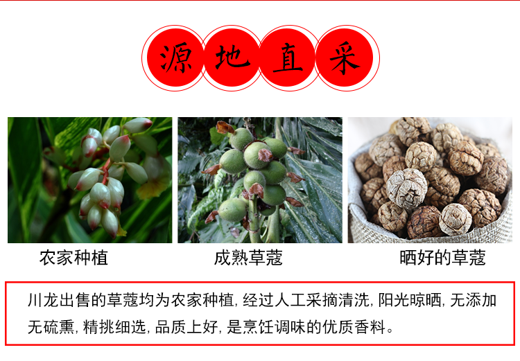 【京东好货】草蔻500g 草豆蔻草扣飞雷子老蔻脑蔻卤料火锅香料调料