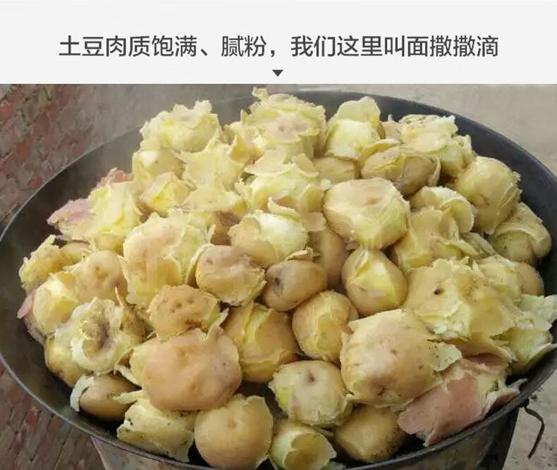 土豆批发甘肃定西特产新鲜土豆农家自种黄心土豆洋芋肃客土豆优品小