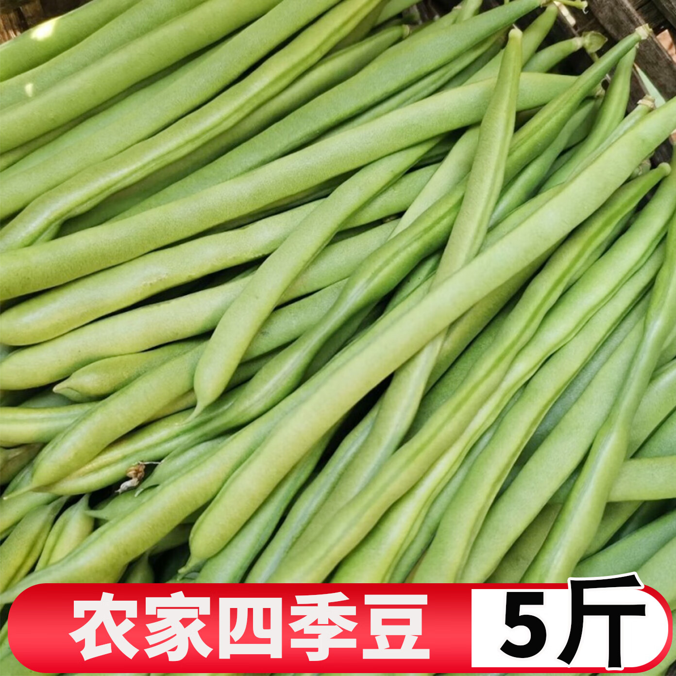 新鲜四季豆无筋豆 农家自种长豆角应当季蔬菜豆类扁芸 现摘 1500g