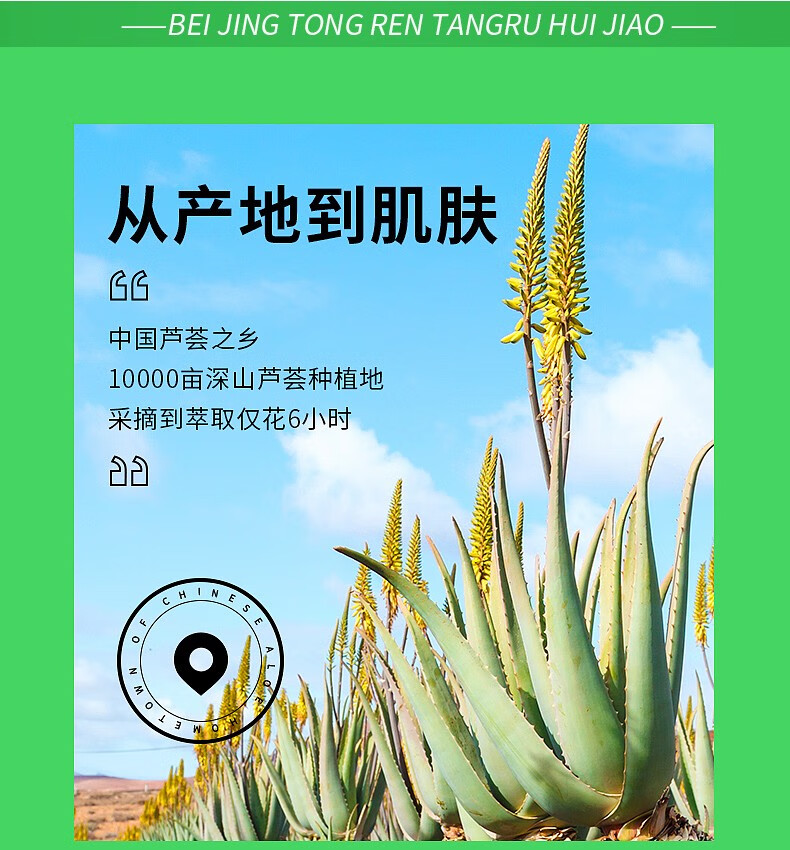 同仁堂芦荟胶补水保湿面霜缓解皮肤干燥起皮男女士护手霜学生党晒后修复 150g*3盒装