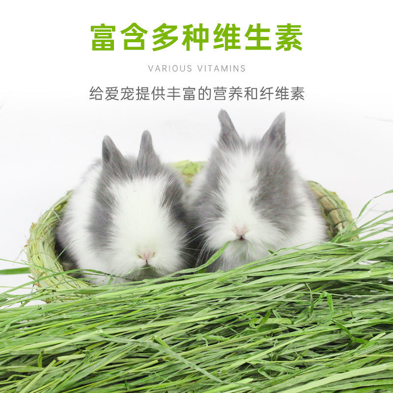 【京东推荐】南提烘干提摩西草苜蓿草小麦草大麦草兔子荷兰猪龙猫牧草