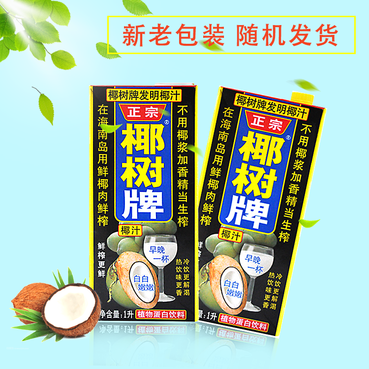 椰树椰汁正宗椰树牌椰子汁饮料 1l*12盒/箱 植物蛋白椰奶海南特产