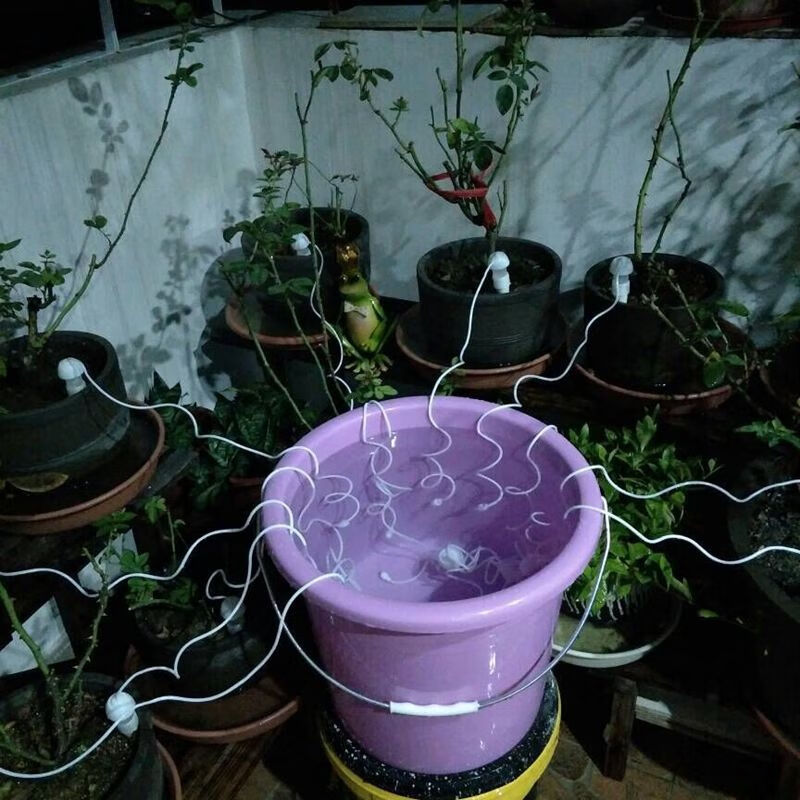 日式渗水器自动浇花器滴水器外出浇花神器滴灌喷淋设备懒人浇水器 4个