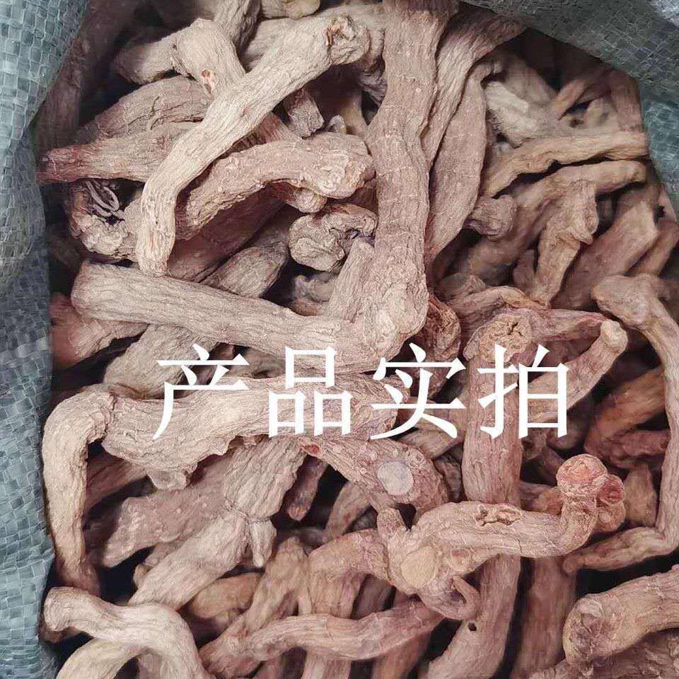 起阳草 云南苗家腾冲特产中草药中药材药酒料药材泡酒