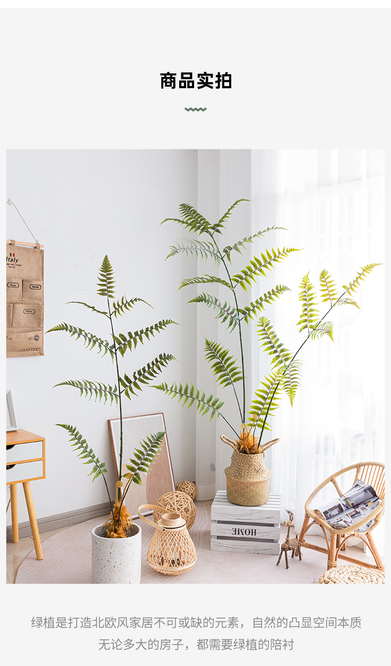 雅迎仿金丝猴头蕨绿植室内大型植物假盆栽客厅摆件仿生树造景装饰11米