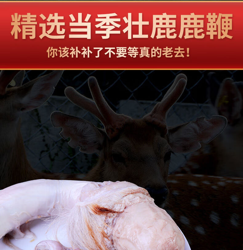吉林梅花鹿现割新鲜鹿鞭整根整支成年种鹿鹿鞭泡酒药材男性泡酒料450g