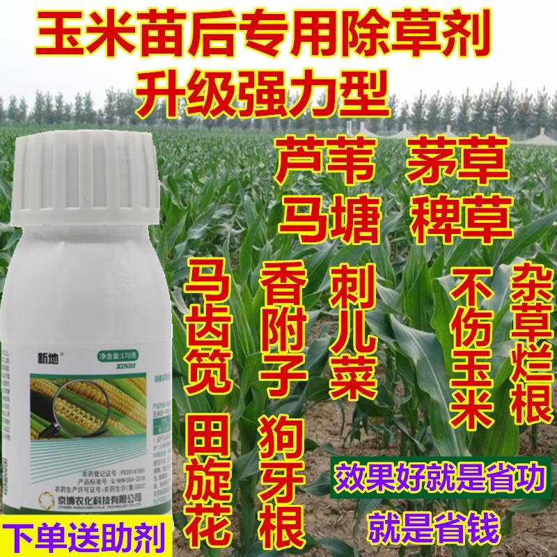 玉米除草剂玉米苗后除草剂除草药除芦苇茅草药香附子阔叶尖叶烂根 170