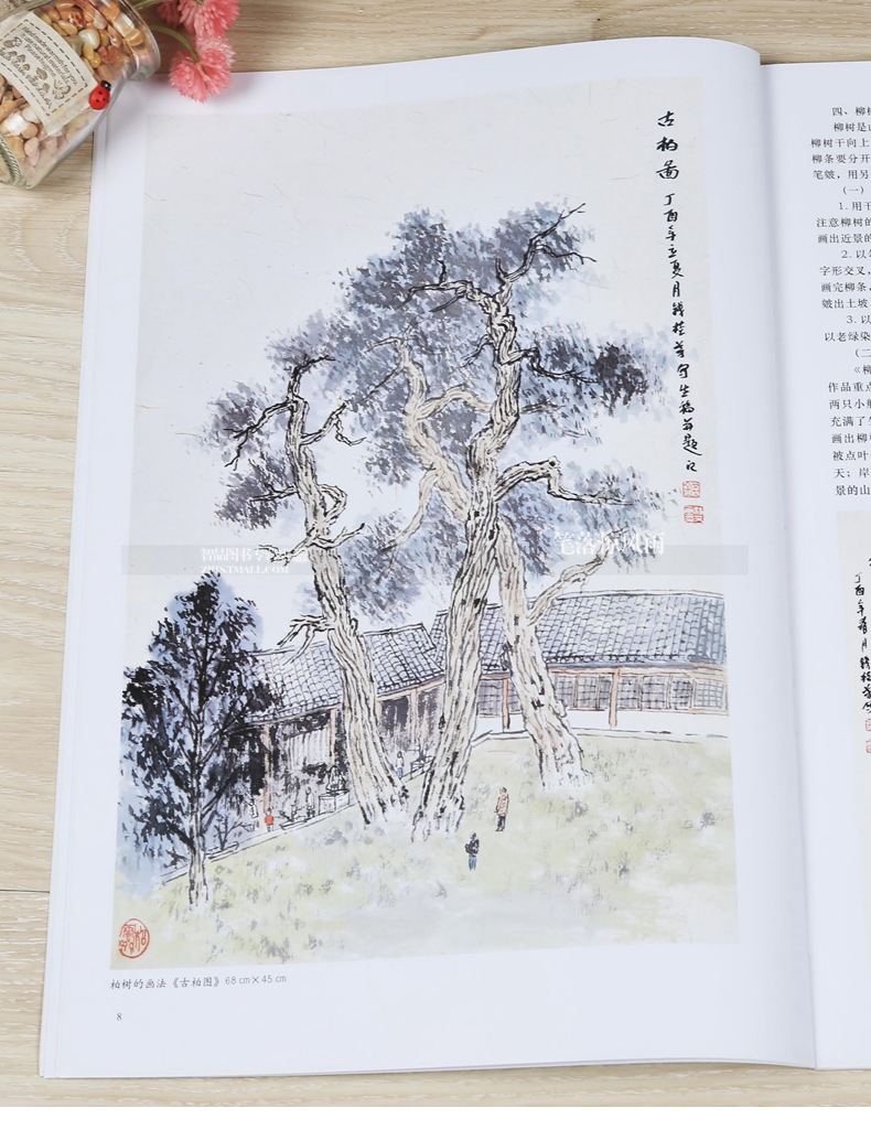 名家教学钱桂芳山水画技法讲解美术爱好者自学山水画教程大学美术教材