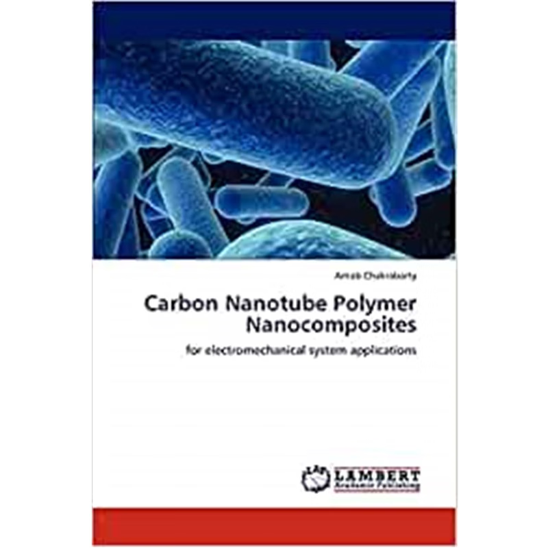 按需印刷Carbon Nanotube Polymer Nanocomposites[9783847335238]