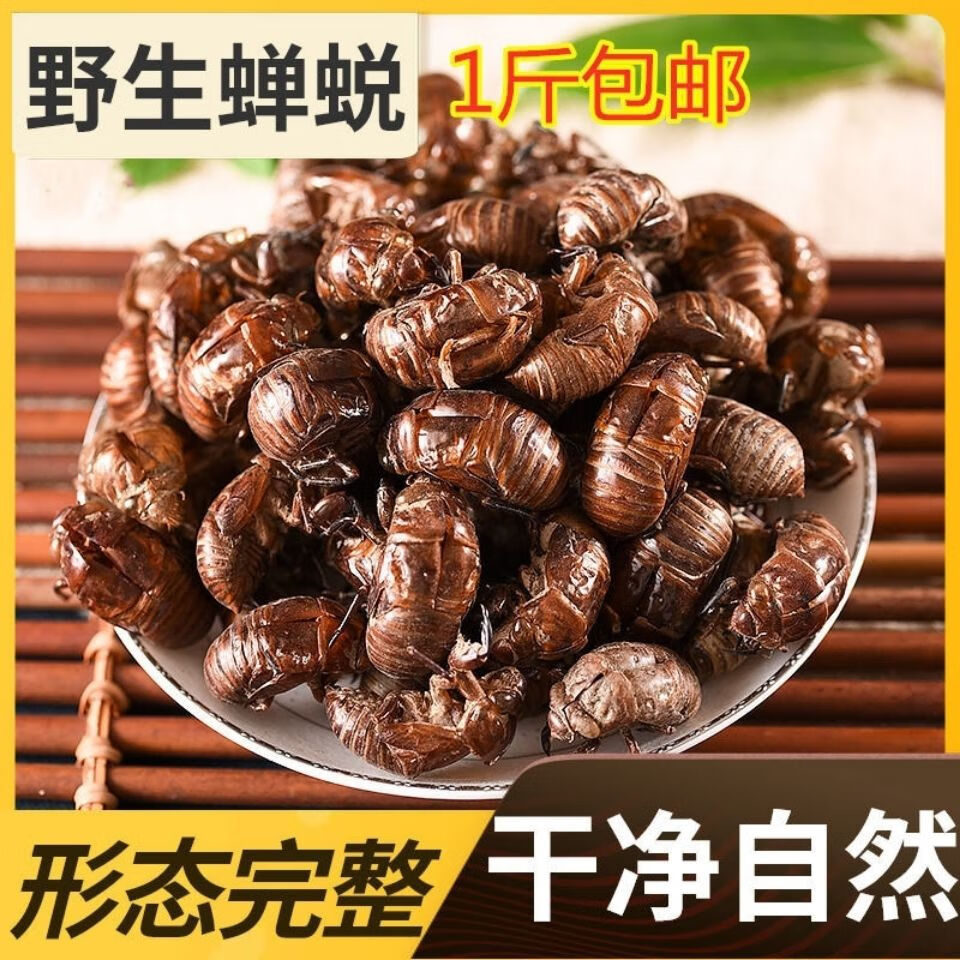 中药材蝉蜕蝉衣蝉壳虫蜕虫退爬了猴壳特价100g