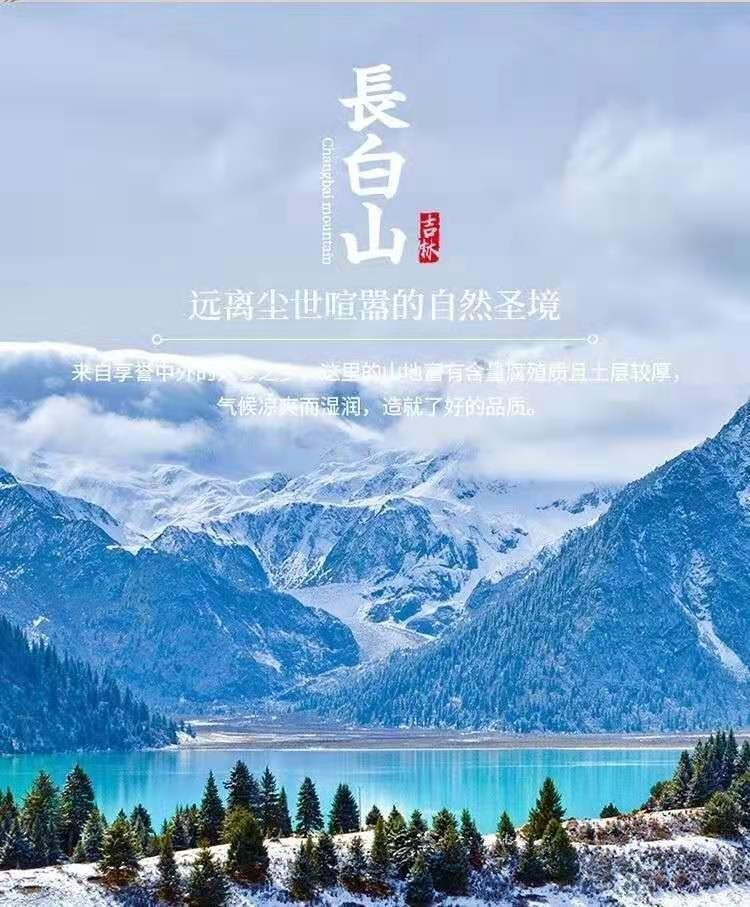 伟博蔸花参【官网】大片野生蔸人参野山参篼花参10克—100克篼参 体验