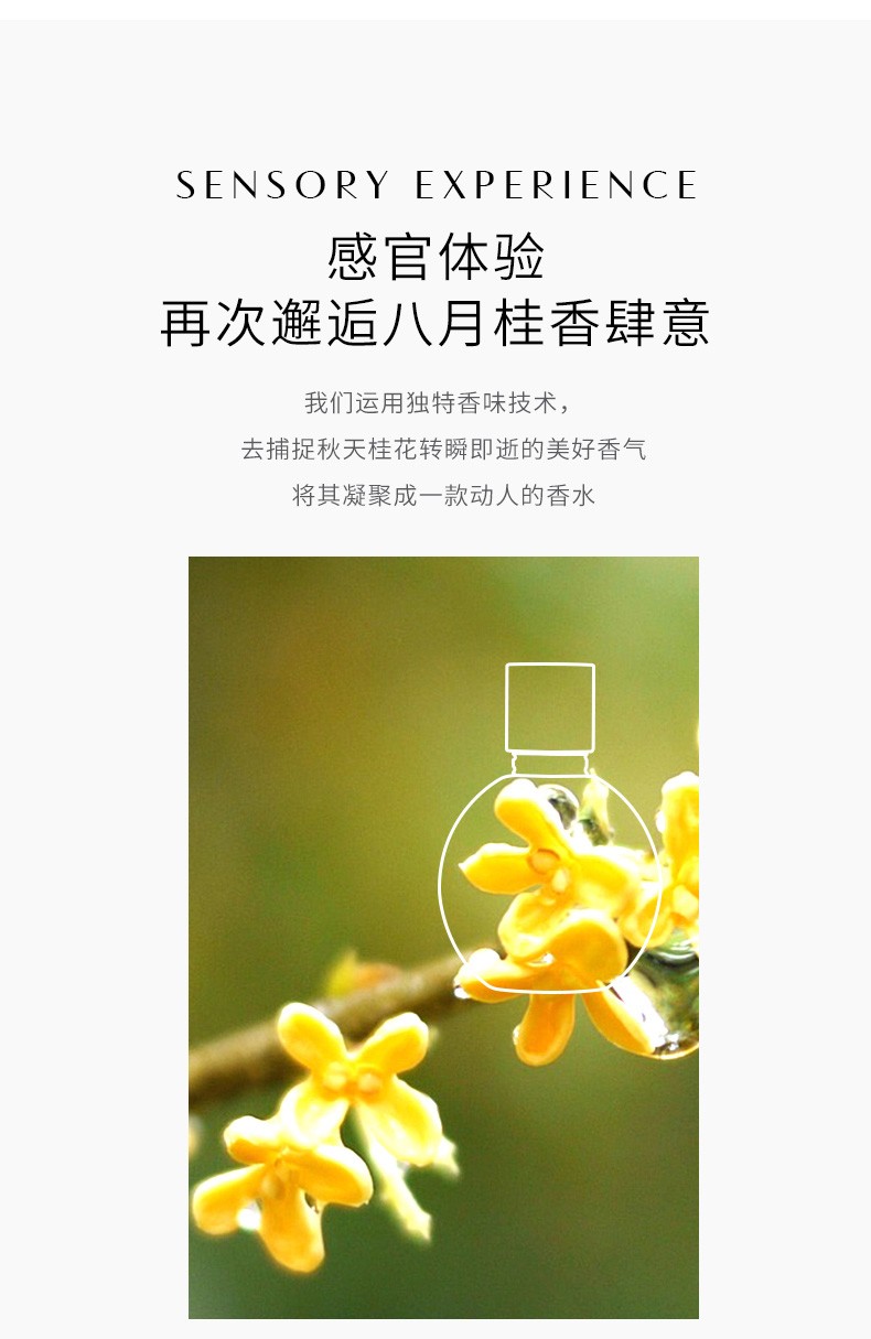 遇见香芬 东方桂花香水自然花香味女士清新淡香香味留香夏天香水送老婆女生闺蜜生日节日礼物礼盒 东方桂花香水50ml