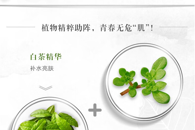 一叶子（One leaf）眼膜女学生补水保湿淡化细纹紧致提亮眼周护肤品白茶水润焕采蝶翼 眼膜10片